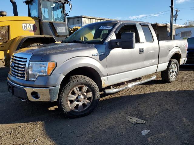 FORD F150 SUPER 2010 with VIN 1FTEX1E89AFD59996 - Photo from auction