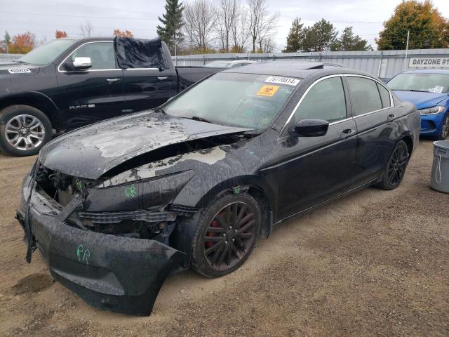 HONDA ACCORD EXL 2010 with VIN 1HGCP2F87AA808022 - Photo from auction