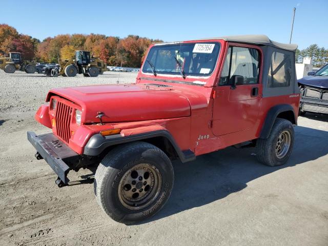 JEEP WRANGLER 1993 with VIN 1J4FY19P2PP246553 - Photo from auction