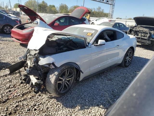 FORD MUSTANG 2017 with VIN 1FA6P8TH3H5282225 - Photo from auction