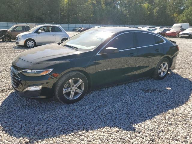 CHEVROLET MALIBU 2019 with VIN 1G1ZB5ST6KF185346 - Photo from auction