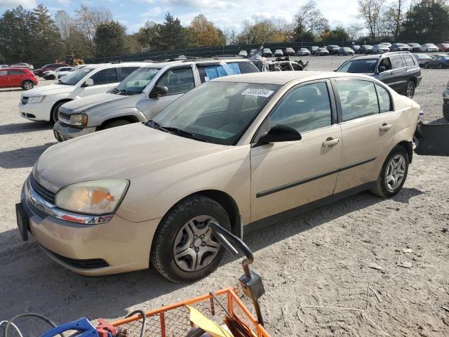 CHEVROLET MALIBU 2004 with VIN 1G1ZS52F34F143004 - Photo from auction