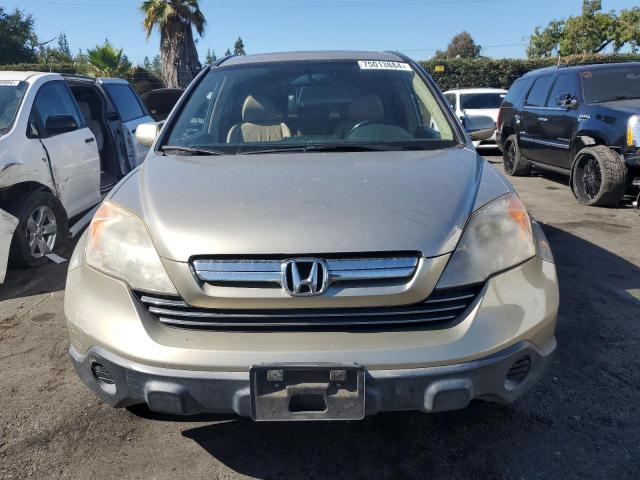 Photo 5 from auction – 2007 HONDA CR-V EXL with VIN JHLRE38727C002145