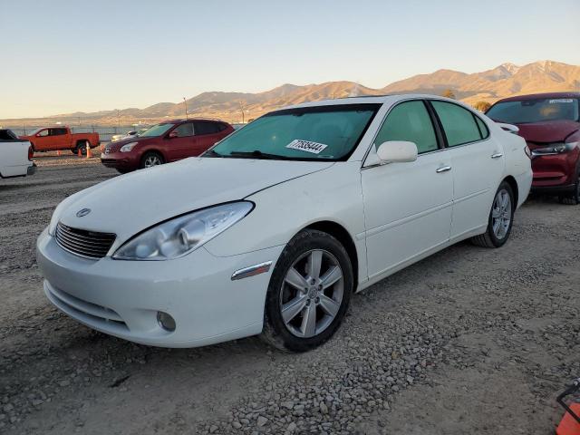 LEXUS ES 330 2006 with VIN JTHBA30G465143709 - Photo from auction