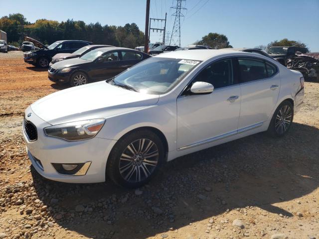 KIA CADENZA PR 2014 with VIN KNALN4D76E5131941 - Photo from auction