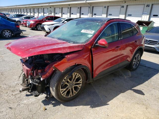 FORD ESCAPE SEL 2020 with VIN 1FMCU9H66LUA98541 - Photo from auction