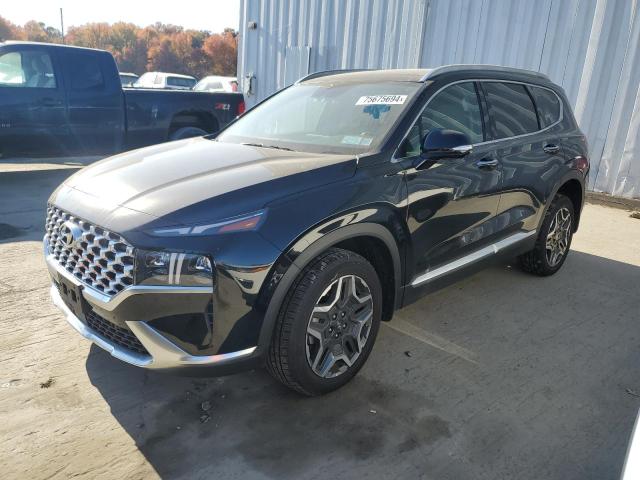 HYUNDAI SANTA FE L 2023 with VIN 5NMS5DA14PH017113 - Photo from auction