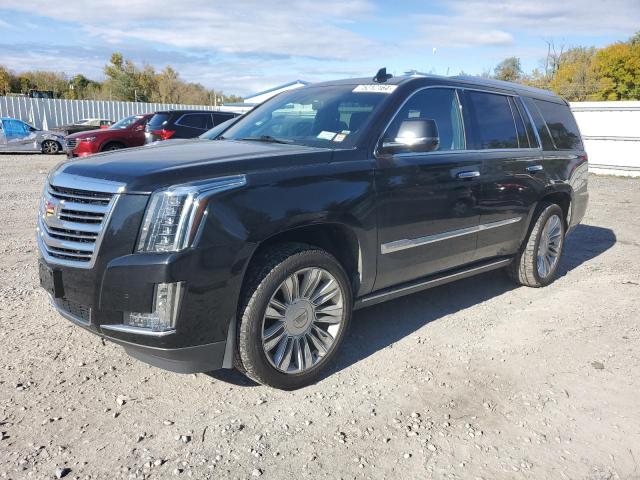 CADILLAC ESCALADE P 2017 with VIN 1GYS4DKJ3HR261666 - Photo from auction