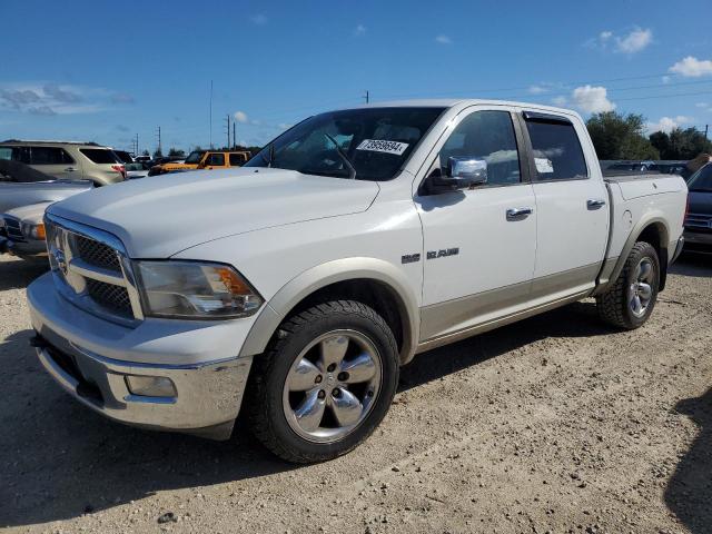 DODGE RAM 1500 2010 with VIN 1D7RV1CT5AS161248 - Photo from auction