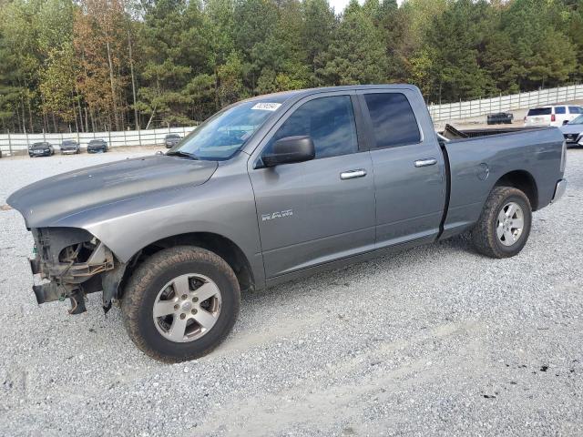 DODGE RAM 1500 2010 with VIN 1D7RB1GP9AS154454 - Photo from auction
