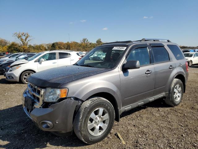 FORD ESCAPE LIM 2010 with VIN 1FMCU9EG8AKC23853 - Photo from auction