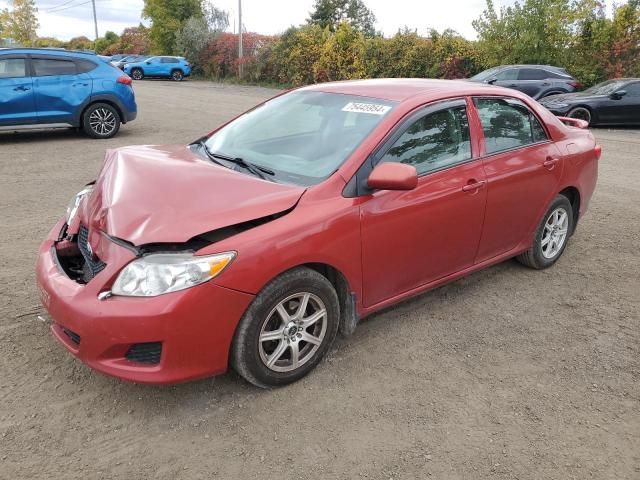 TOYOTA COROLLA BA 2009 with VIN 2T1BU40EX9C185984 - Photo from auction