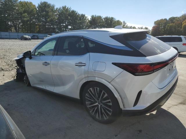Photo 2 from auction – 2023 LEXUS RX 350H BA with VIN 2T2BBMCA0PC009677