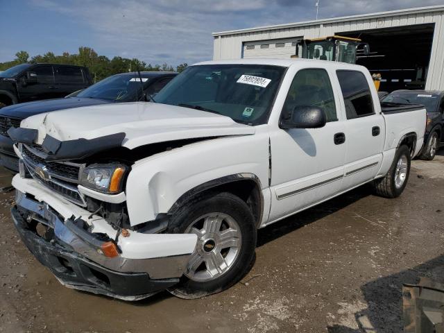 CHEVROLET SILVERADO 2006 with VIN 2GCEC13T561244345 - Photo from auction