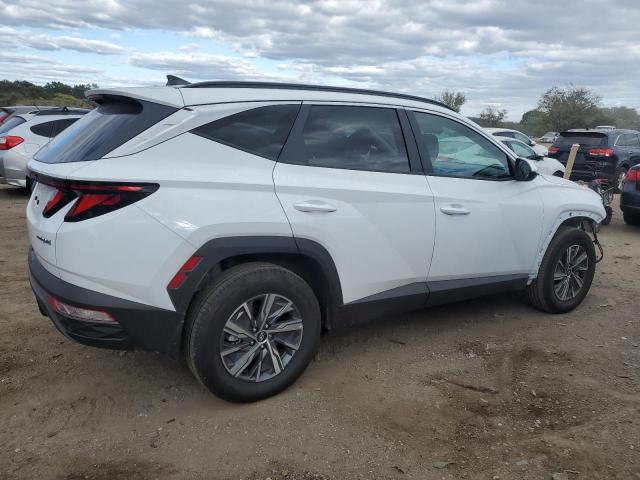 Photo 3 from auction – 2024 HYUNDAI TUCSON BLU with VIN KM8JBCD16RU194926