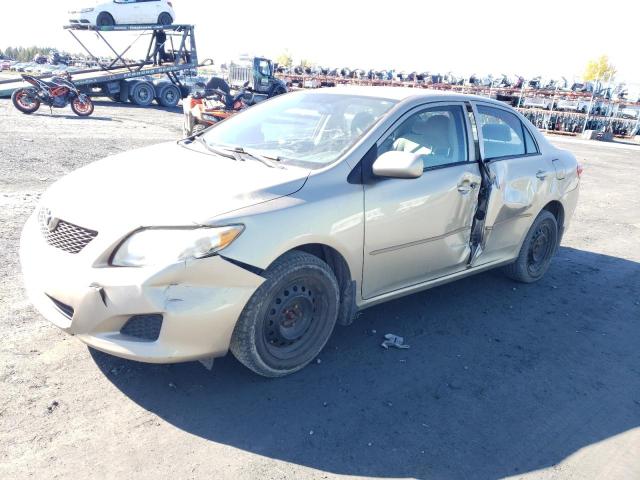 TOYOTA COROLLA BA 2010 with VIN 2T1BU4EEXAC230046 - Photo from auction