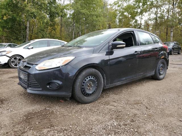 FORD FOCUS SE 2014 with VIN 1FADP3K21EL342808 - Photo from auction