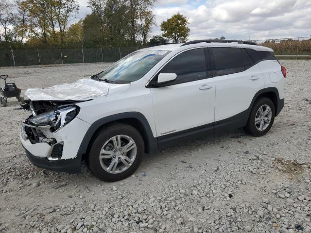 GMC TERRAIN SL 2018 with VIN 3GKALMEV4JL362431 - Photo from auction