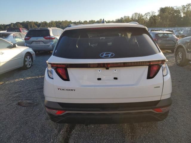 Photo 6 from auction – 2024 HYUNDAI TUCSON SEL with VIN 5NMJBCDE2RH393700