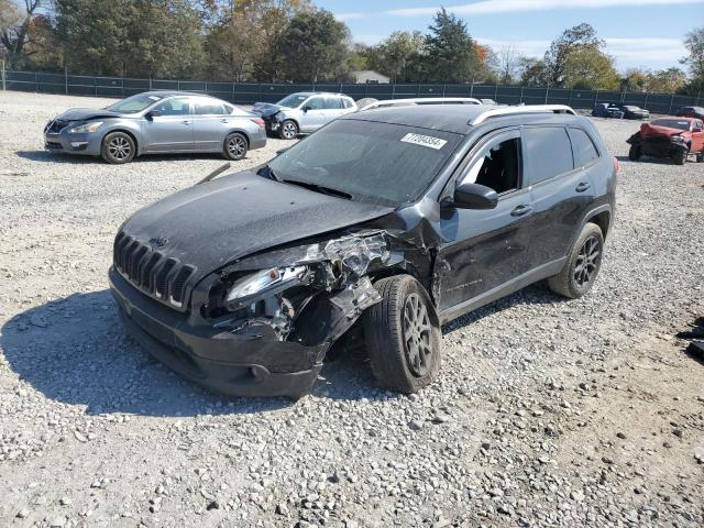 JEEP CHEROKEE L 2016 with VIN 1C4PJLCB9GW159987 - Photo from auction