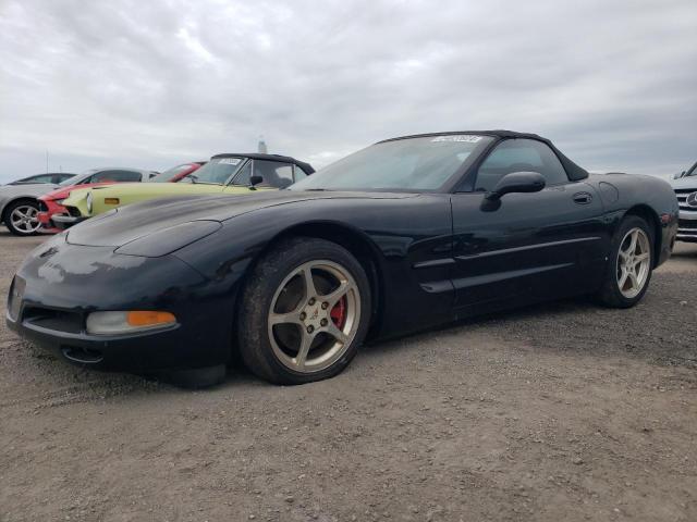 CHEVROLET CORVETTE 2002 with VIN 1G1YY32G325121093 - Photo from auction