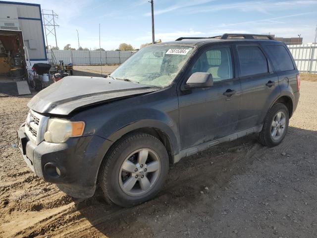 FORD ESCAPE XLT 2010 with VIN 1FMCU0DG4AKD43002 - Photo from auction
