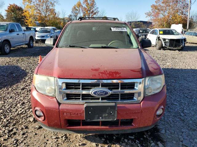 Photo 5 from auction – 2010 FORD ESCAPE XLT with VIN 1FMCU9DG7AKA78547