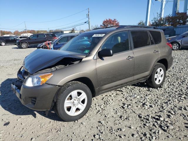 TOYOTA RAV4 2011 with VIN 2T3JF4DV9BW159405 - Photo from auction