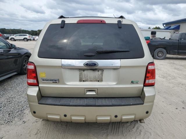 Photo 6 from auction – 2011 FORD ESCAPE LIM with VIN 1FMCU0EG7BKC28376