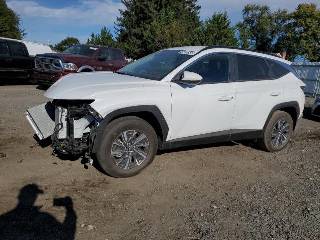 Photo 1 from auction – 2024 HYUNDAI TUCSON BLU with VIN KM8JBCD14RU192785