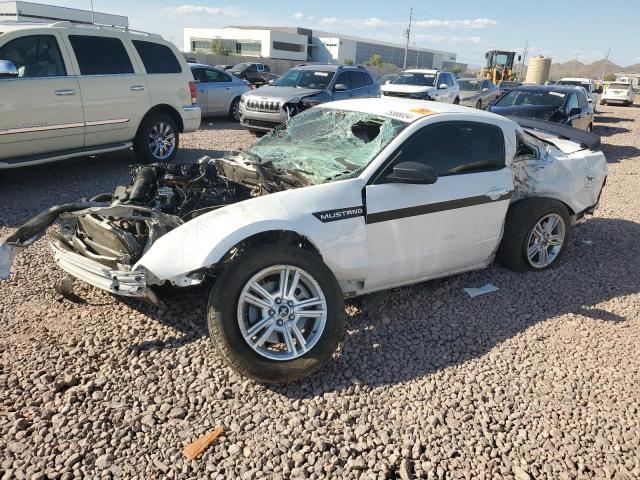FORD MUSTANG 2014 with VIN 1ZVBP8AM2E5226830 - Photo from auction