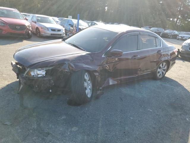 HONDA ACCORD EXL 2010 with VIN 1HGCP2F83AA145256 - Photo from auction