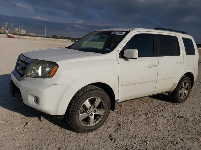 HONDA PILOT EXL 2009 with VIN 5FNYF38589B025424 - Photo from auction
