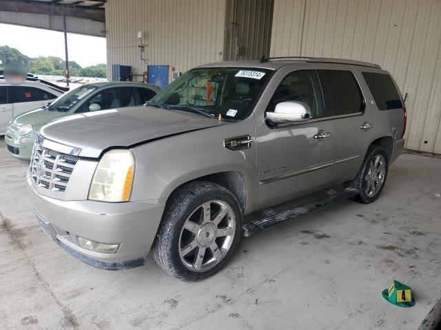 2009 CADILLAC ESCALADE H - Търг №78315314