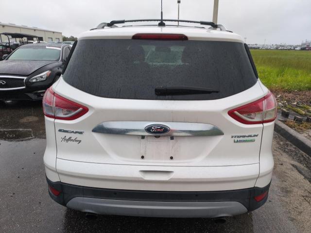 Photo 6 from auction – 2016 FORD ESCAPE TIT with VIN 1FMCU0J9XGUA75706