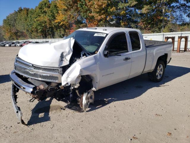 CHEVROLET SILVERADO 2010 with VIN 1GCSKPE31AZ231968 - Photo from auction
