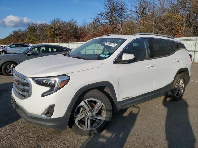 GMC TERRAIN SL 2020 with VIN 3GKALVEV2LL230664 - Photo from auction