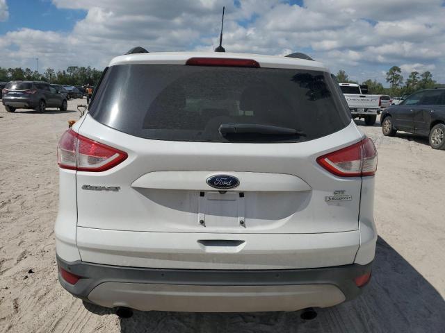 Photo 6 from auction – 2014 FORD ESCAPE SE with VIN 1FMCU0GX1EUB07901