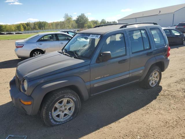 JEEP LIBERTY SP 2002 with VIN 1J4GL48K32W340479 - Photo from auction
