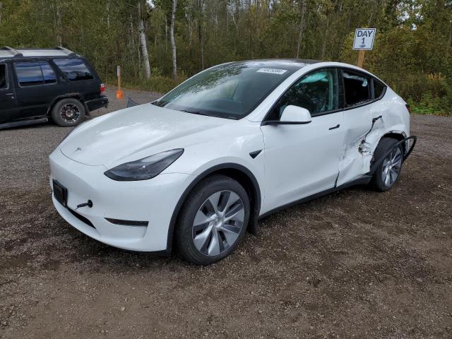 TESLA MODEL Y 2023 with VIN LRWYGDFD5PC967631 - Photo from auction