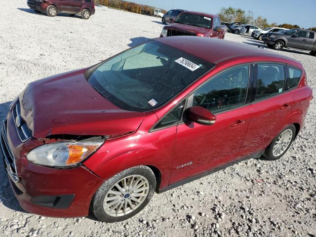 FORD C-MAX SE 2016 with VIN 1FADP5AU0GL120245 - Photo from auction