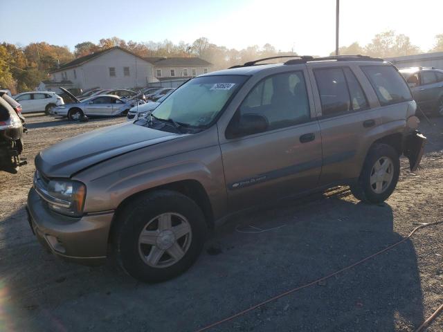 Photo 1 from auction – 2003 CHEVROLET TRAILBLAZE with VIN 1GNDT13S232292407