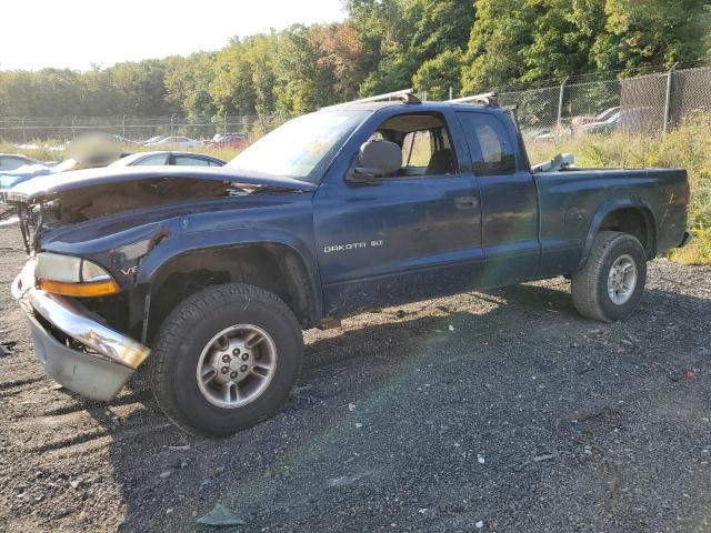 DODGE DAKOTA 2000 with VIN 1B7GG22N2YS659373 - Photo from auction