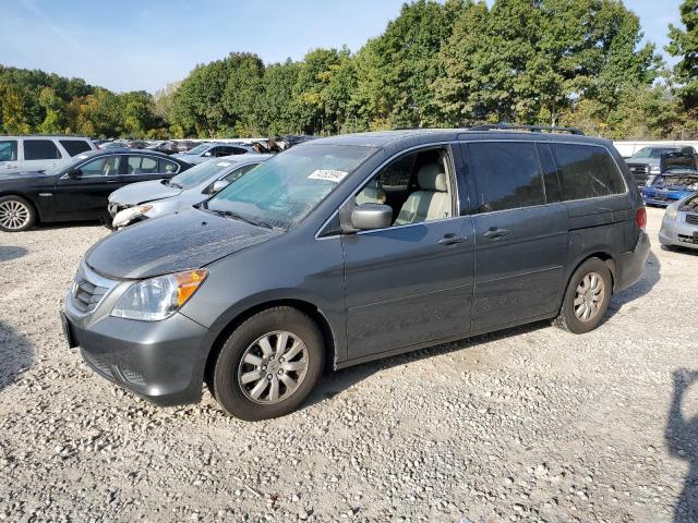 HONDA ODYSSEY EX 2008 with VIN 5FNRL38728B412922 - Photo from auction
