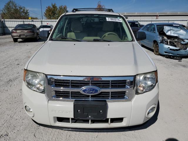 Photo 5 from auction – 2011 FORD ESCAPE XLT with VIN 1FMCU9DG1BKA57503