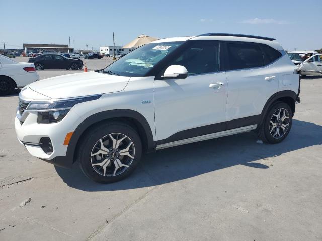 KIA SELTOS EX 2021 with VIN KNDERCAA2M7118763 - Photo from auction