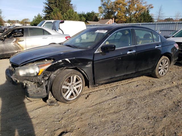Photo 1 from auction – 2011 HONDA ACCORD EXL with VIN 1HGCP3F87BA025936