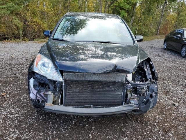 Photo 5 from auction – 2011 HONDA CR-V EX with VIN 5J6RE4H52BL825906