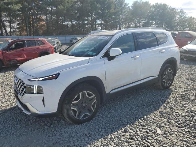 Photo 1 from auction – 2023 HYUNDAI SANTA FE L with VIN 5NMS4DAL6PH655092