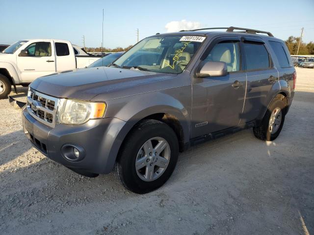 FORD ESCAPE HEV 2008 with VIN 1FMCU59H98KE09858 - Photo from auction